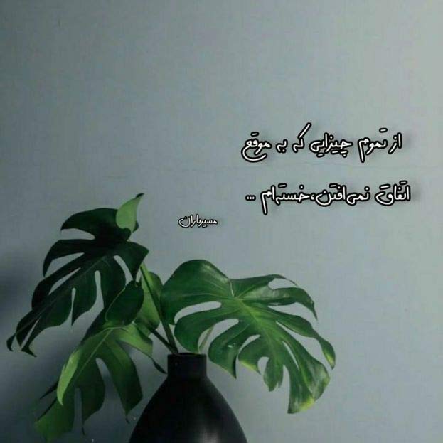 آهنگ دنیا دیگه مثل تو نداره