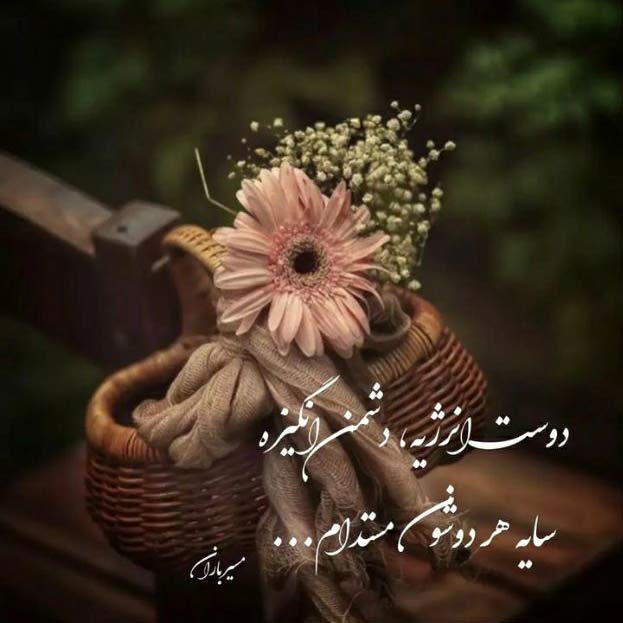 آهنگ شب بود زمستان بود همه یخ کرده بودیم