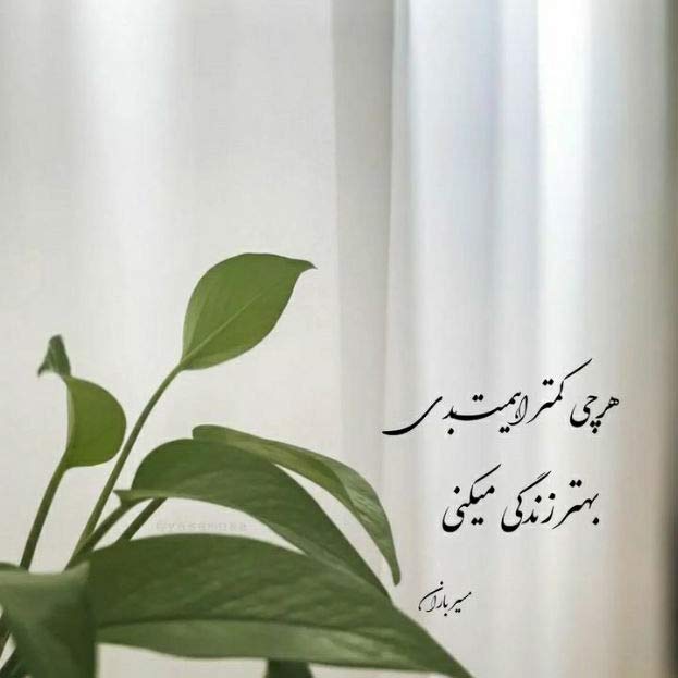 آهنگ بده بزنیم