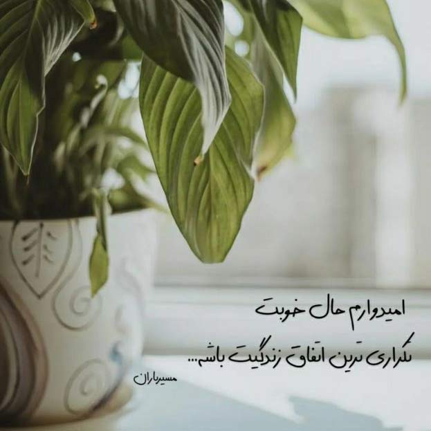 آهنگ عزیزم اشتی اشتی با صدای زن