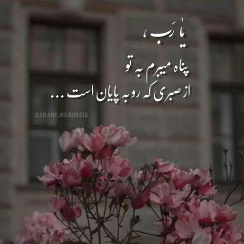 آهنگ اهوی منو کردنش شکارش ارشاد