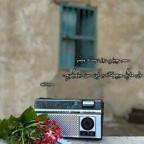 دانلود آهنگ وفا اصلا مجور وفادار اصلا دنی با صدای زن ماهک