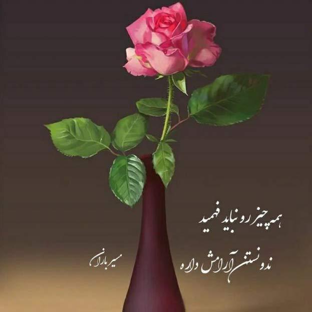 دانلود اهنگ تو یه رویایی که نمیرسی به دستم حامیم