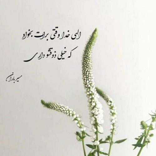 دانلود آهنگ وای هم اتاقی رفیق و ساقی امیر رمضانی