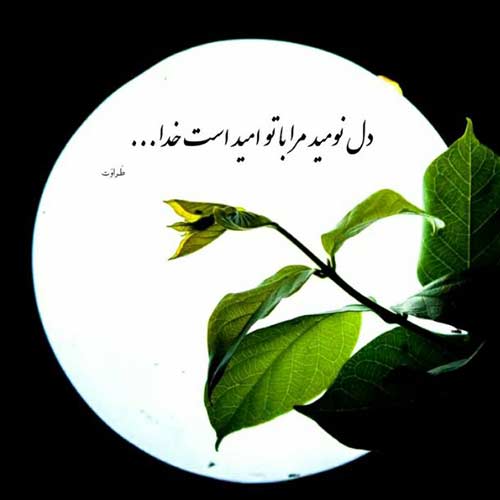 ریمیکس آرتا و پوری زندگی همینه دیجی سام استار