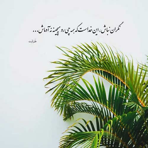 دانلود اهنگ گریه هامو ندیدی ندیدی علی احمدیانی MP3