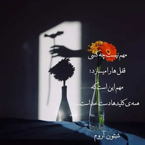 دانلود اهنگ من به دل دیوونم یاد دادم با صدای زن MP3