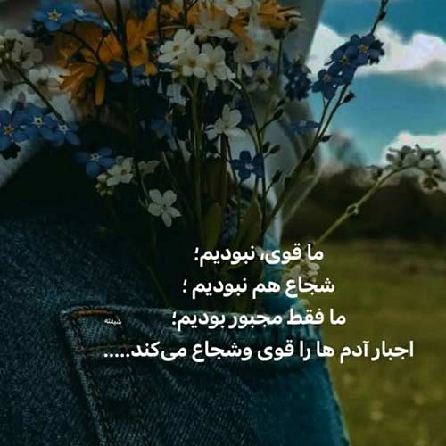 اهنگ آورده خبر راوی کو ساغر و کو ساقی با صدای هایده