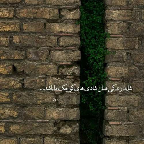 اهنگ شونه به شونه با منی دنیا بدونه با منی همخوانی دختر اینستا
